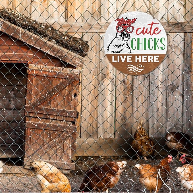 Chicken Coop Sign Wall Decor, Chicken Coop Decoration for Chicken Farm Coop Hen House Hanging Sign Decor, Gift for Chicken Farmer Owners, Cute Chicks Live Here