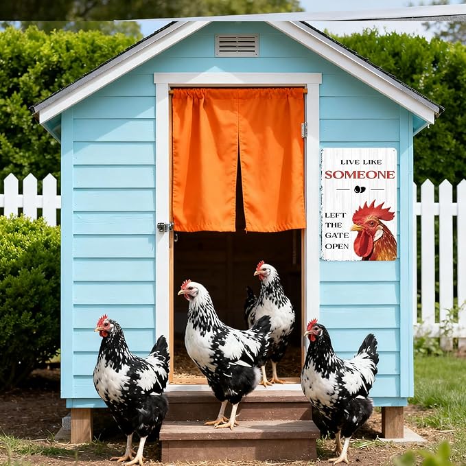 Chicken Kitchen Decor Funny Chicken Gifts Kitchen Wall Decor Farmhouse Country Garden Sign For Yard Home Hen House 8×12 Tin Sign