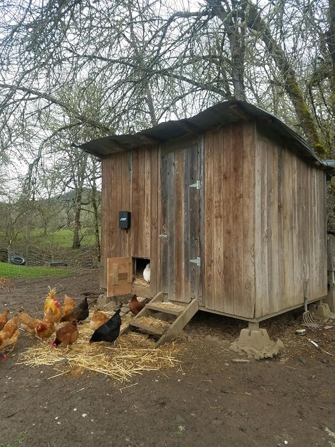 Automatic Chicken Coop Door Opener, Solar Capable (CKSP-Standard Kit, No Battery)