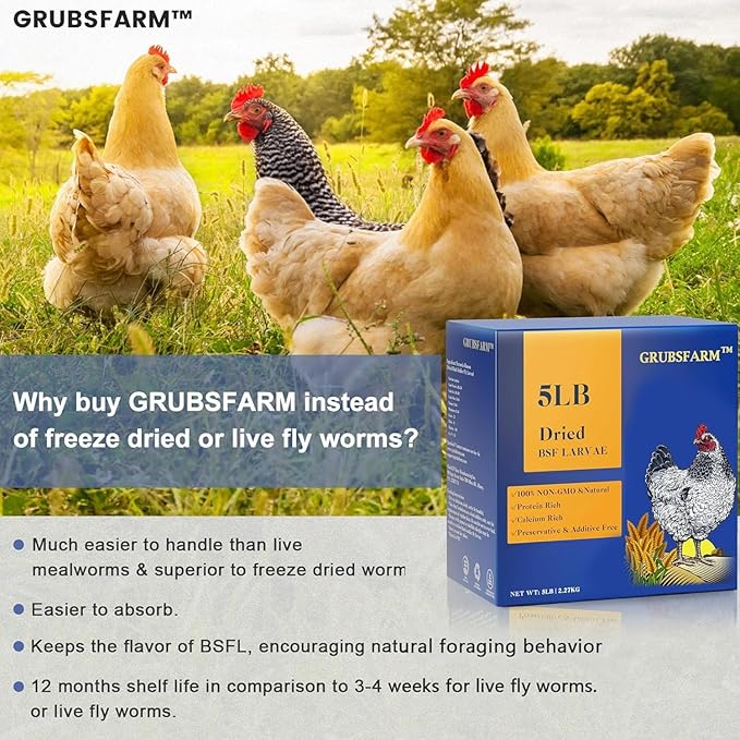 GRUBSFARM Black Soldier Fly Larvae 5LB, 100% Natural Non-GMO Molting & Laying Supplement for Hens