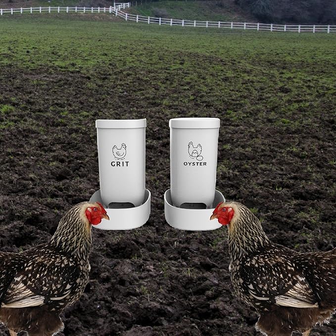 Chick Feeders 2 Pack with Grit & Shell Feeders, 16cm Base (6.3 inch) PP Material for Duck Quail Starter Kit