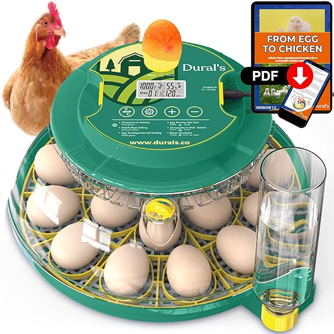 Dural's DX5® | Professional 18 Egg Incubator with Automatic Turning & Humidity Control | FCC Certified Egg Incubator | for Chicken, Quail, Duck Eggs | Precise Temperature | Easy to Clean (18 Eggs)