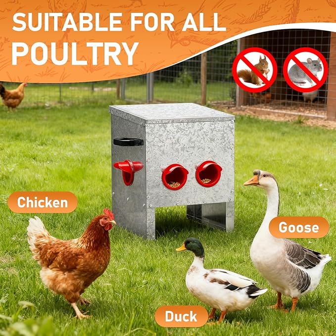 VINGLI Chicken Feeder with 4 Feeding Ports, 25 lb No Waste Large Capacity Metal Poultry Feeder with Handles and Lid for Backyard Chickens and Poultry (4 Ports)