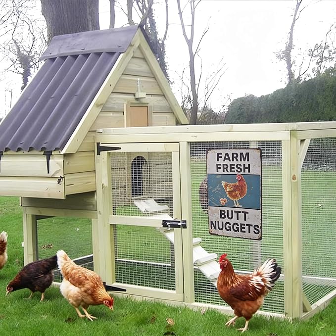 Funny Chicken Gifts Chicken, Tin Sign for Home Farm Chicken Coop Farmhouse Kitchen Garden Decor, Vintage Metal Signs Chicken Coop Signs(blue) 8 X 12 Inch