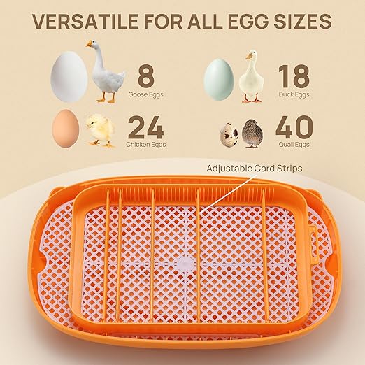 TURBRO 24 Egg Incubator with Automatic Egg Turning, Incubator for Hatching Eggs with Auto-Temperature and Humidity Control, Egg Candler, for Chicken, Duck, Quail, Use in Farm, Home, Classroom, Lab