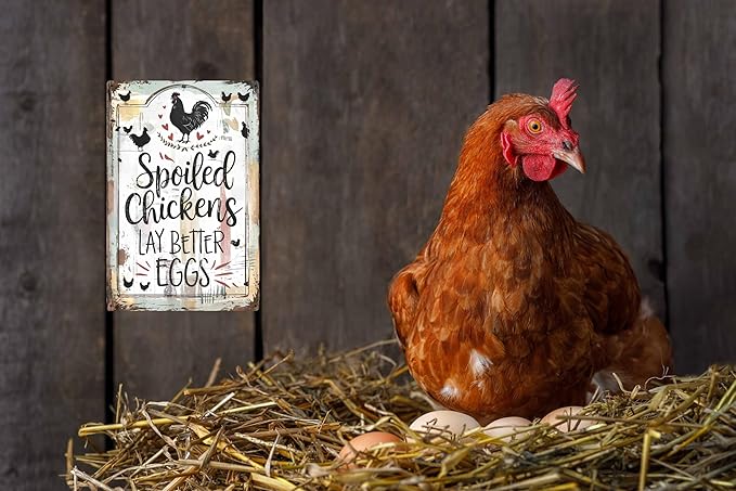 Chicken Coop Signs Outdoor Farmhouse Farm Spoiled Chickens Lay Better Eggs Tin Sign Funny Metal Signs Accessories Outdoor Home Wall Decor 8x12 inch