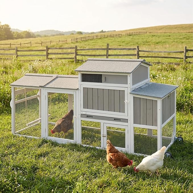 Wooden Chicken Coop with Wheels – Large Movable Outdoor Hen House with Waterproof Asphalt Roof, Nesting Box & Easy-Clean Tray Spacious Backyard Poultry Tractor (Grey, 77.4"L x 23.2"W x 39.2"H)