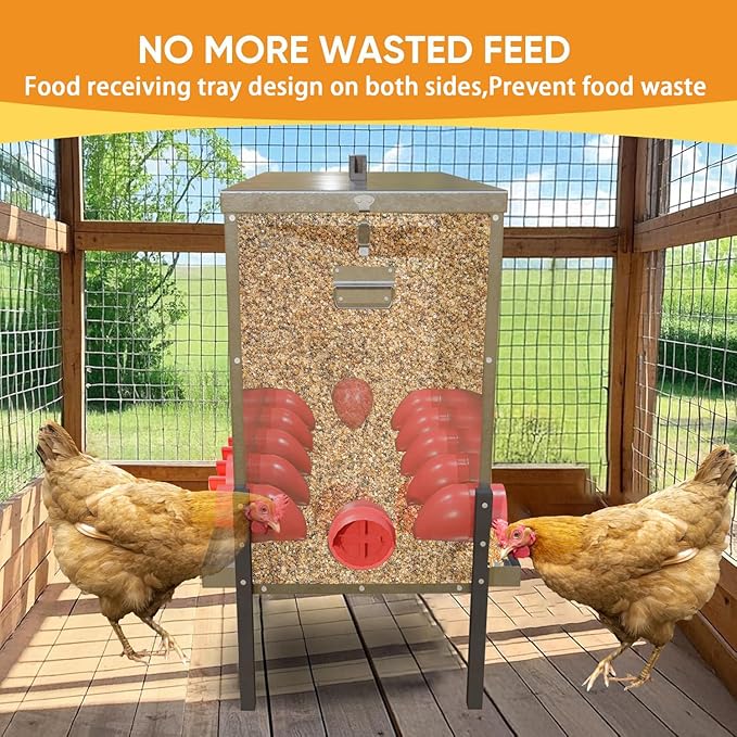 170 LB Automatic Chicken Feeder 12 Port Large Metal Poultry Feeders Box Feeder with Adjustable Height, Locking Lid & Handles,Rustproof Feed Box for Poultry & Backyard Chickens