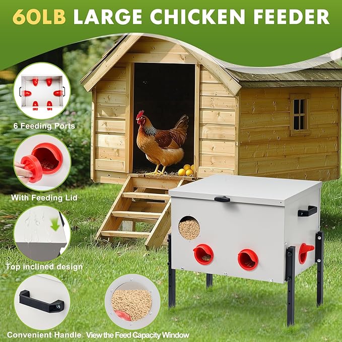 Metal Chicken Feeder with 6 Ports, 60 lbs Metal Poultry Feeder, Height Adjustable Weatherproof Feeding Box for Chickens, Geese, Ducks, Turkeys, Quails (60lbs-6 Ports)