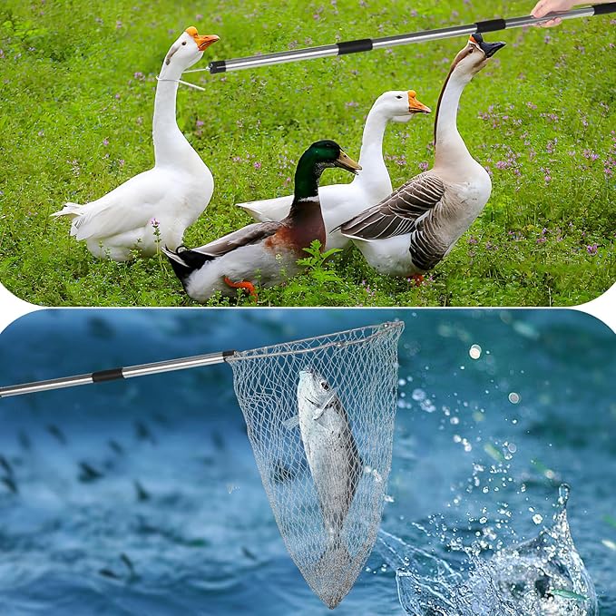 Chicken net Catcher, Chicken coop Accessories, 75 -inch Thickened Stainless Steel Catcher net, Suitable for Poultry and Outdoor Animals Such as Chickens, Birds, Goose, Duckling, Fish, etc.