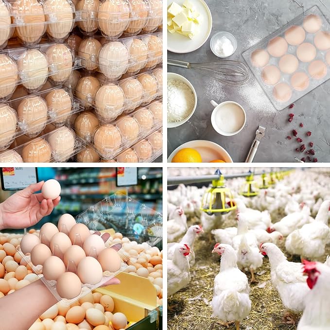 100 Pack Bulk Egg Cartons, Clear Plastic Chicken Egg Holders, Egg Tray Carton Holder for Home & Kitchen, Farm & Market Use, An Eco-Friendly Egg Storage Solution, 12 Grids(Medium Size)
