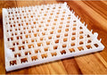 Quail Egg Trays (6 pack)