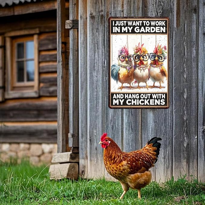 Funny Chicken Signs Garden And Hang Out With My Chickens Aluminium Sign Metal Chicken Signs Decor Home Ktichen Farm Are Wall 12x16 Inch Vintage Chicken Signs For Coop Metal Tin Signs Poster