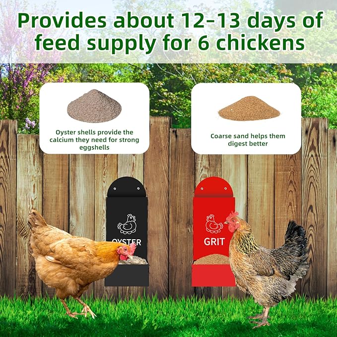 2-Pack Metal Chicken Grit and Oyster Shell Feeder with Drainage Holes -Perfect Backyard Coop Accessory