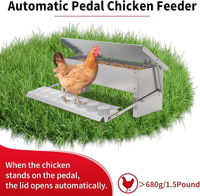 Automatic Chicken Feeder No Waste Large Poultry Stainless Steel with Weatherproof Lid Treadle Rat Proof Chicken Feeder Trough for Chicken Duck Gravity Food Dispenser