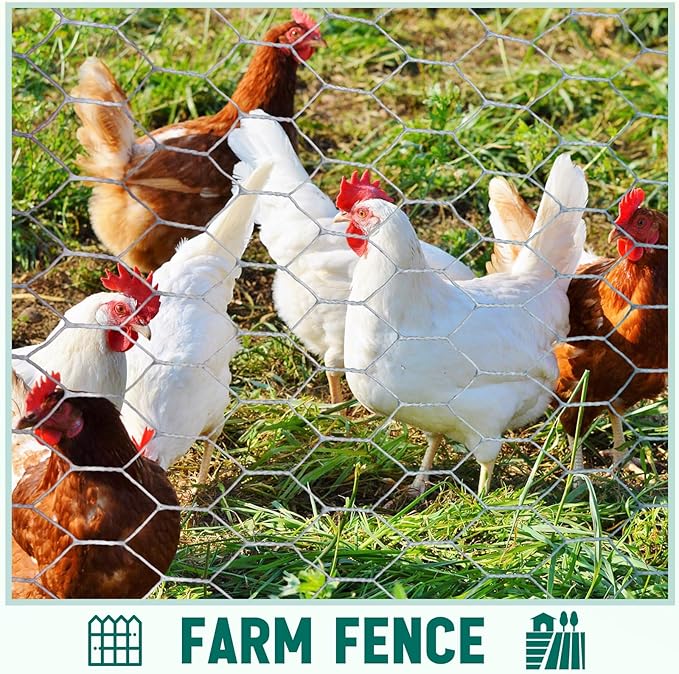12 in X 200 ft Chicken Wire Fencing Metal Floral Chicken Wire Mesh for Crafts Poultry Garden, 1 Inch Hexagonal Galvanized Hardware Cloth Netting for Poultry Coop Barrier Rabbit Cage (Silver)