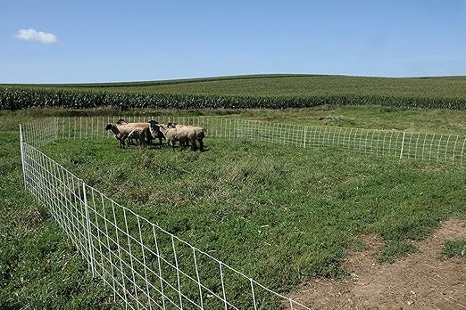 Starkline 35" x 164' Premium Electric Sheep & Goat Netting w/Double Spike Fiberglass Posts (9/35/8) Pre-Assembled Electric Fence for Backyards, Homesteaders, Farms and Ranches