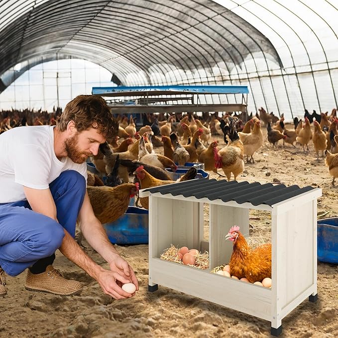 Chicken Nesting Box, 2 Holes Wooden Nesting Box, Hens-Wall Mounted or Floor Use, Chicken Coop Accessorie with PVC Roofing, Preventing Egg Falls, Easy to Assemble, Backyard and Farms