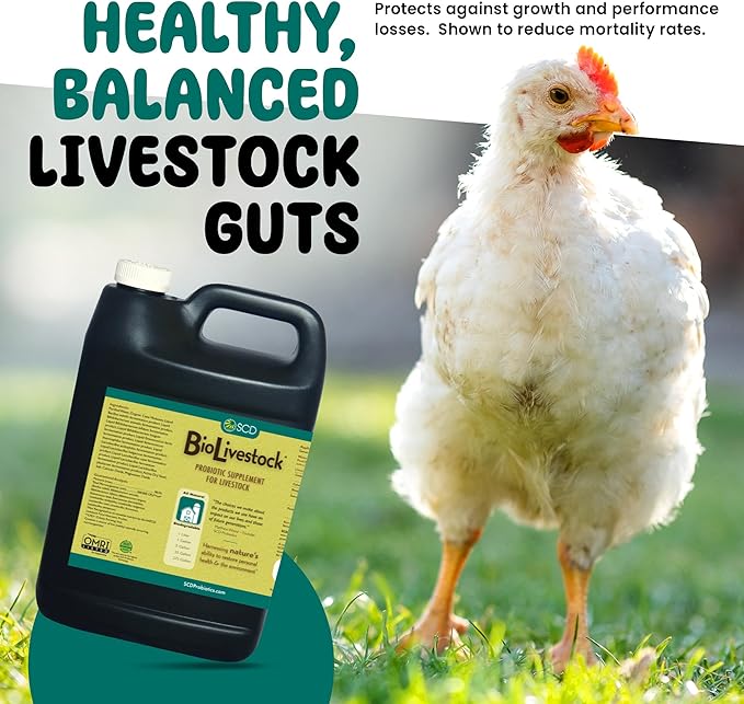 SCD Bio Livestock - Liquid Probiotic Feed & Water Additive, Organic Digestive Supplement for Cows, Pigs, Horses, Chickens, Ducks, Rabbits by SCD Probiotics - 1 Liter (4 Pack)