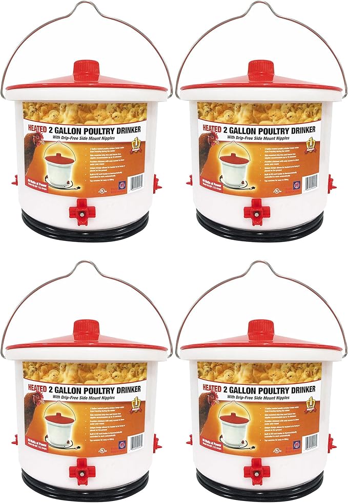 Farm Innovators 4 Pack Heated Chicken Waterer, Poultry Drinker Bucket, 2 Gallon