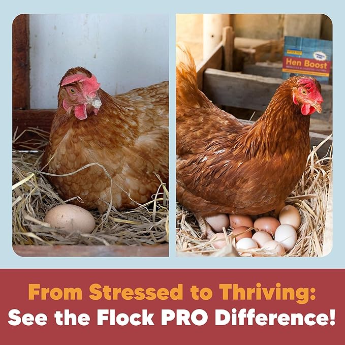 Equerry's Flock PRO Hen Boost - Digestive Supplement for Hens | Chicken Vitamins and Supplements | Probiotics, Digestive Enzymes, Electrolytes for Adult Poultry-8 OZ
