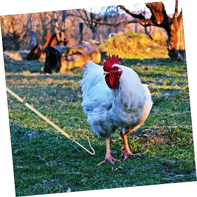 Totority Essential Farm Equipment Poultry Management Tool User-Friendly Chicken Catcher Trap Leg Hook for Catching Chickens Ducks