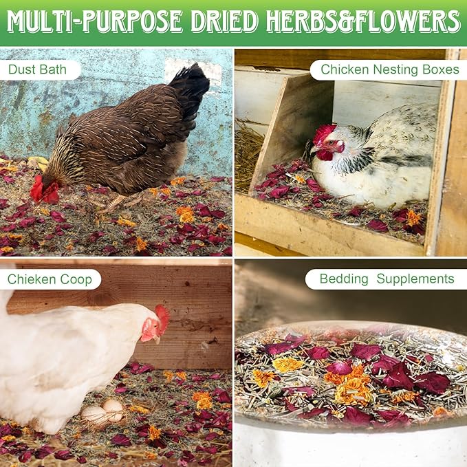 21Oz Chicken Nesting Herbs (1.3 Pounds), 6 Natural Dried Nesting Herbs for Chicken Coop, Aromatic Hen Feed Supplies in Vacuum Packaging for Nest Box/Dust Bath