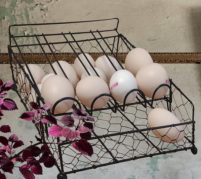 TAIANLE. Wire Egg Basket For Gathering Fresh Eggs with Rolling Tray 2 Tier, Farmhouse Metal Egg Holder Container Countertop, Rustic Display Tray