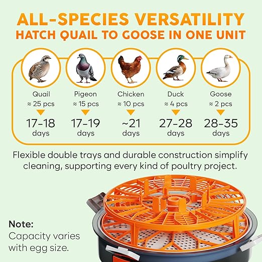 Egg Incubator with Automatic Egg Turning and Humidity Control – 12 or 20 Egg Incubator for Hatching Eggs – incubadora de huevos de gallina – Smart Temp Adjust – Candling Lamp