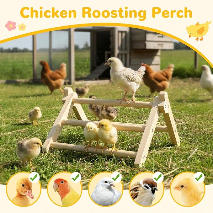 Innoland Chick Perch Foldable, Perch for Chicks Stable & No Assemble, Chick Roosting Perch for Stand Training, 11.02" × 9.84" × 6.10" Baby Chick Toys for Chicken Brooder | Coop (M)