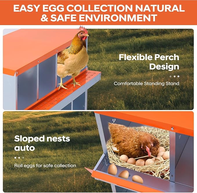 Removable Tray & Ventilated - Metal Chicken Nesting Box for Small Animals - 10 Compartments, Wall Mountable, Easy Clean, Secure Egg Collection - Red, 10 Compartments ZW