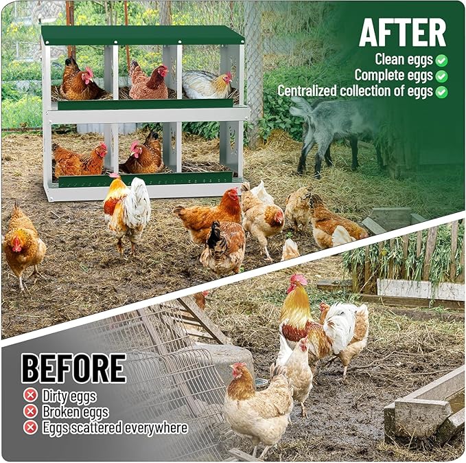 Chicken Nesting Box, 6 Compartment Metal Chicken Nesting Boxes for Chicken Coop, Large Vented Holes Chicken Laying Boxes with Rollout Egg Collection, Wall Mount Chickens Coops