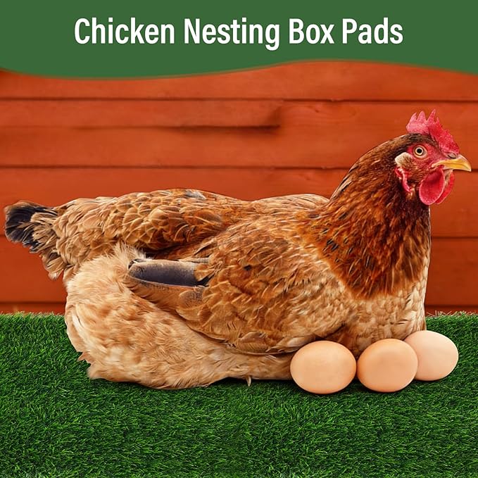 Jollidecor 6 PCS Nesting Pads for Chicken Coop-12''x12'', Washable Artificial Grass Box Liners for Laying Eggs, Green and Light Brown Chicken Bedding for Nesting Box, Pets, Garden Indoor Outdoor