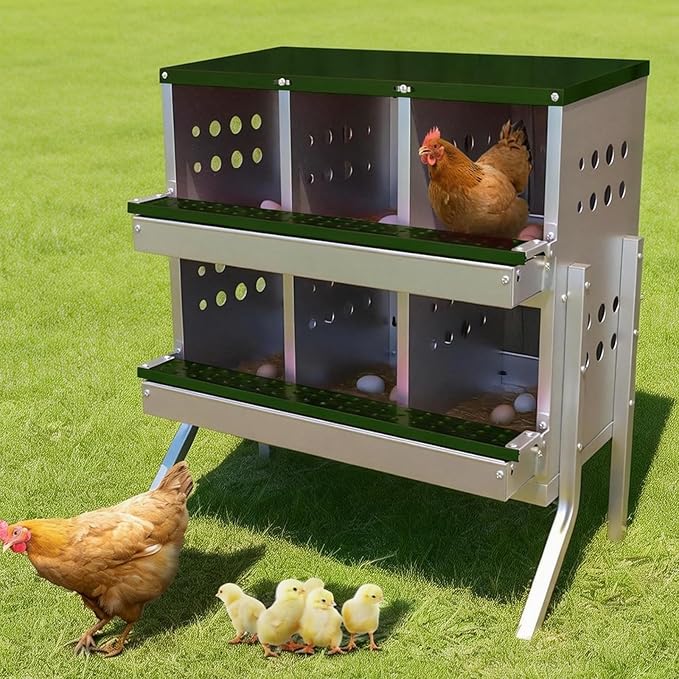 Chicken Nesting Box, 6 Compartment Roll Away Laying Box for Hens, Heavy-Duty Galvanized Steel, Front Egg Collection Tray, 6 Training Eggs Included