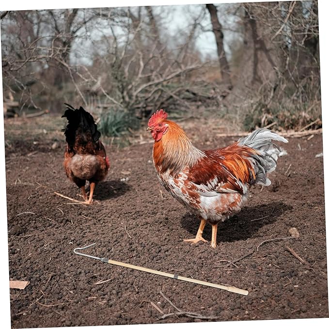 Happyyami Chicken Catching Net Chicken Catcher Hook Catcher Sturdy Animal-Friendly for Farms