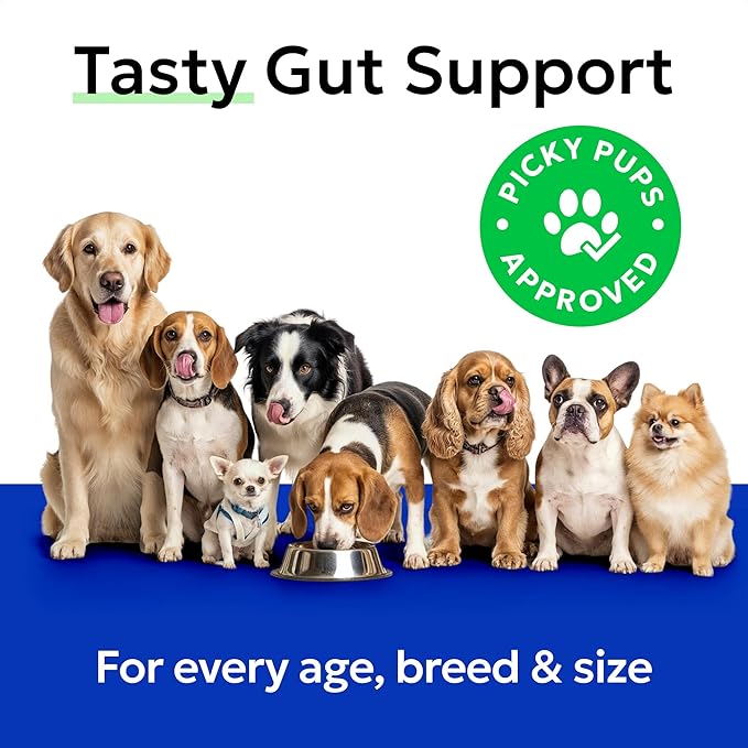 BARK&SPARK Pumpkin Powder for Dogs - 8oz Powdered Fiber Supplement and Stool Softener - Upset Stomach, Food Sensitivity - Improve Digestion - 8oz Powder