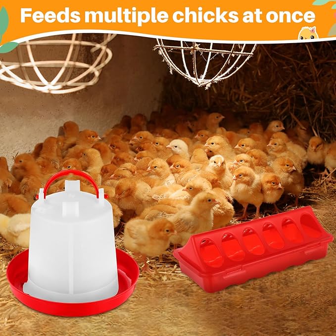 12 Pack Chicken Feeder and Waterer Set Bird Small Poultry Feeder Flip Top Bird Small Poultry Feeding for Pigeon Chick Drinker Duckling Quail Feeding Dispenser (1.5 L,Red)