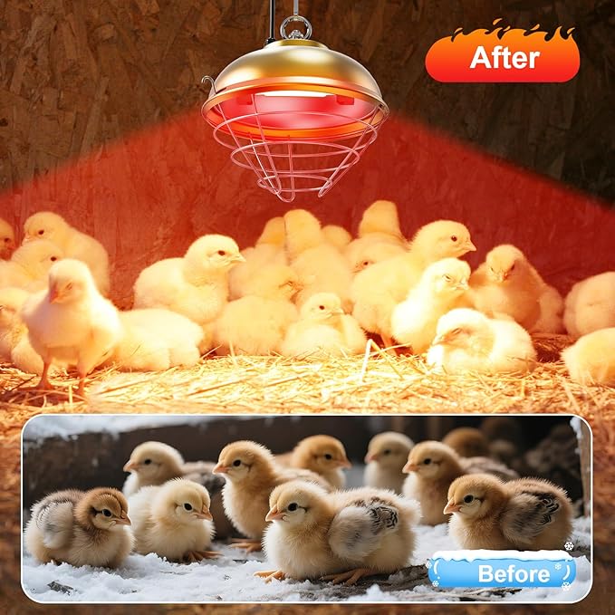 Nexum Heat Lamp for Chicken Coop, Dog Kennel, Cat Bed & Reptiles - 300W Adjustable Infrared Heat Lamp with 2 Heat Settings, Waterproof Aluminum Housing for Poultry, Livestock & Pets