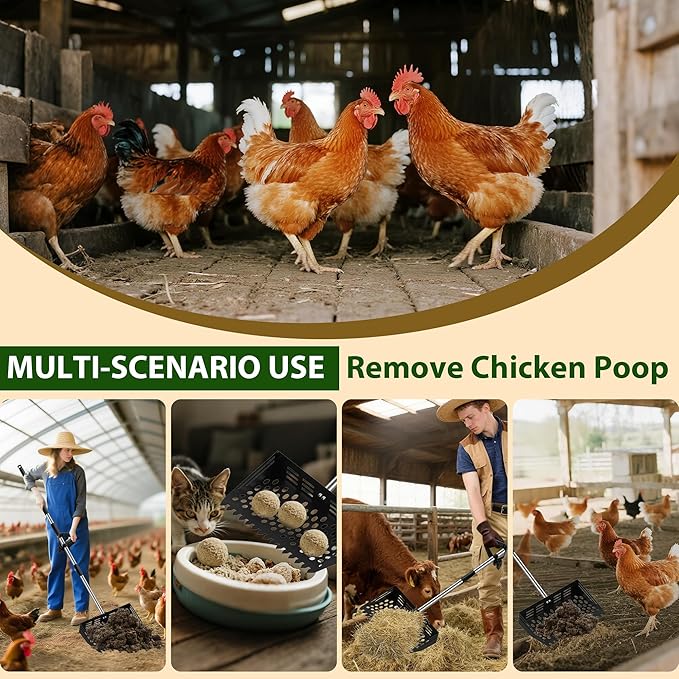 2 in 1 Chicken Poop Scooper & Rake, 12" Chicken Coop Scooper With Ergonomic Grip, Durable Chicken Scooper for Poop With 4 Length Adjustable Stainless Steel Handle(24 to 67") Litter Sifting Shovel