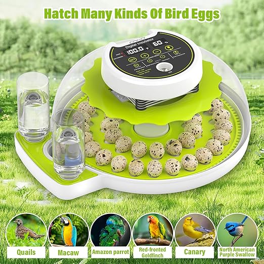 Quail Egg Incubator for Hatching 40 Quail Eggs with Automatic Turner and Humidity Control, Small Quail Brooder, Outdoor Poultry Egg Incubator, Suitable for Quail Parrot Canary and Other Bird