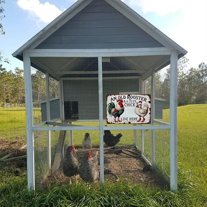 Vintage Chicken Coop Metal Signs - An Old Rooster & A Cute Chick Live Here Chicken Tin Sign, Funny Metal Signs Accessories Outdoor Home Wall Decor 8x12 inch