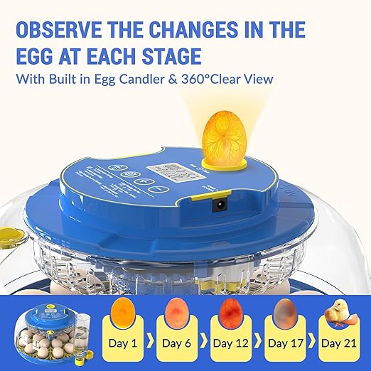 18 Egg Incubator with Auto-Turning & Humidity Control, 2025 Smart Digital Incubators for Hatching Eggs - LED Egg Candler, 360° View, Auto-Stop, Dual Water Tanks, Fits Chicken/Duck/Quail/Goose