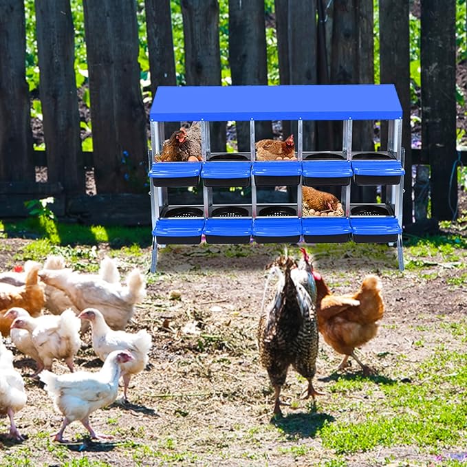 Chicken Nesting Boxes for Chickens,10 Hole Metal Roll Away Nest Box for Chicken Coop,Chickens Laying Egg with Legs, Lid Cover to Protect Eggs,Easy Egg Collection,Hen Roosting Boxes,Blue