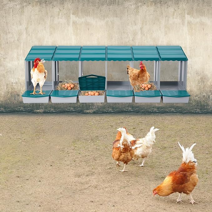 Chicken Nesting Box, 6 Compartments PP Nesting Box, Wall Mountable Nesting Boxes with Inclined Top, Drain Holes & Resting Platform for Chicken and Poultry to Collect Eggs