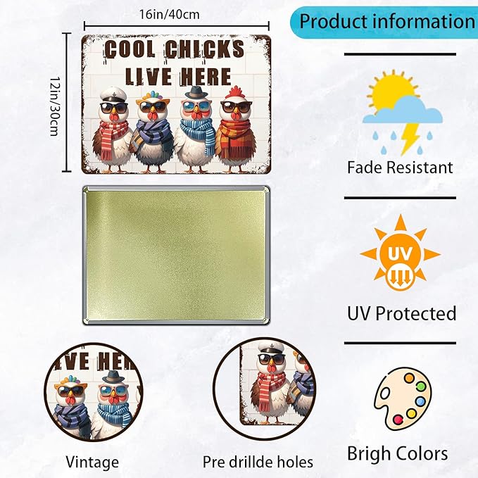 Funny Cool Chicks Live Here Tin Sign Plaque Metal Poster 12x16 Inch Home Kitchen Garden Restaurant Farm Wall Decor