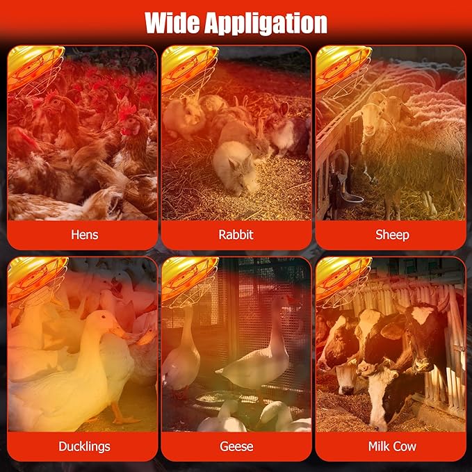 Heat Lamp for Chickens,300W-600W Dual-Temperature Chicken Coop Heater,Carbon Fiber Heating Element,Aluminum Alloy Shade & 6.6' Hanging Chain for Winter Poultry Warmth