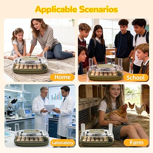24 Egg Incubator with Temperature Control & Humidity Monitoring, Automatic Egg Turner, Built-in Egg Candler, 360° Clear View for Hatching Chicken, Duck, Quail Eggs - Ideal for Home, Classroom, Farm