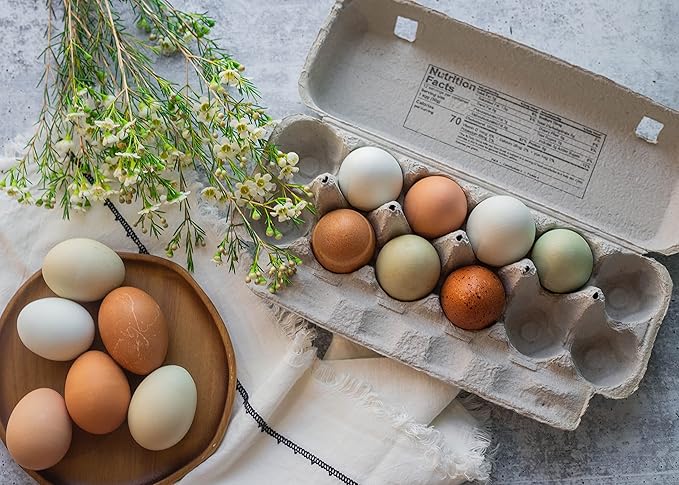 Blank 12-Egg Flat Top Paper Pulp Egg Carton with Nutrition Facts, Safe Handling Info, Optional UPC - 125 Pack