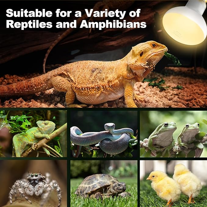 2Pack Reptile Heat Lamp Bulbs, 100W Reptile Heat Emitter Basking Spot Light, UVA Daylight Heat Lamp Bulbs for Chickens Coop Reptiles Pets Brooder Use