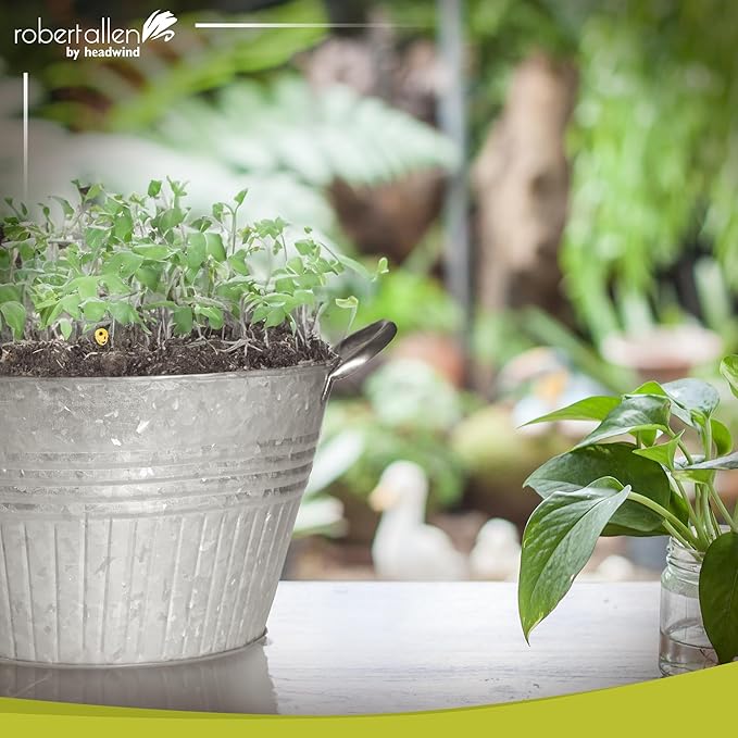 Headwind Decorative Planter - Round Galvanized Tub Planter with Handles – 10 Inch Lightweight Metal Planter with Drainage Hole – Galvanized Steel Tub for Plants - Metal Flower Pot by Robert Allen